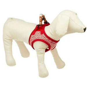 yZbg̔z LEADOG  \tgn[lX SS bh (×3Zbg) [hbO