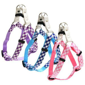 yZbg̔z LEADOG NEWMK`FbN J^ n[lX M sN (×3Zbg) [hbO