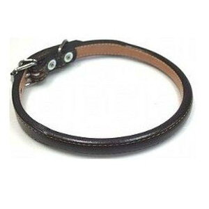 yZbg̔z [ێ 5  (×4Zbg) 쐻쏊