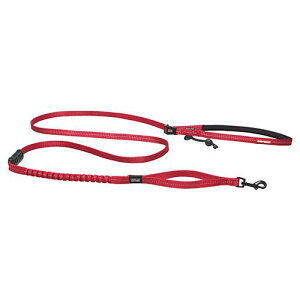 yZbg̔z C[W[hbO [hi[ Cg bh (×2Zbg) V