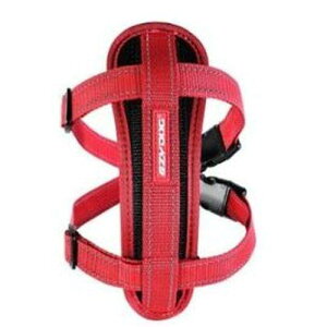 yZbg̔z C[W[hbO n[lX S bh (×2Zbg) V