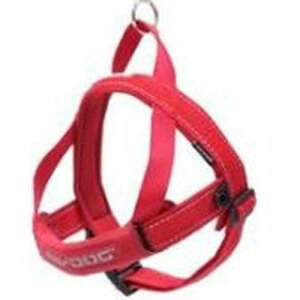 yZbg̔z C[W[hbO NCbNn[lX S bh (×2Zbg) V