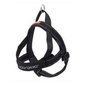 yZbg̔z C[W[hbO NCbNn[lX XL ubN (×2Zbg) V