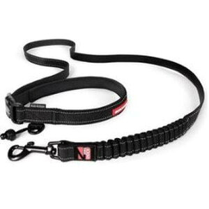 yZbg̔z C[W[hbO [hi[ ubN (×2Zbg) V