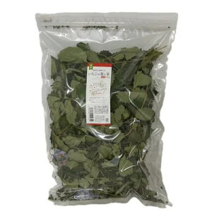 yZbg̔z p hCxW^u ̗tƌs 30g (×6Zbg) XR