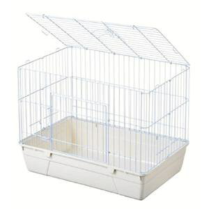 yZbg̔z GEX(WFbNX) r񂮑傫Ȕ̃rbgnEX~L[WH (×2Zbg)