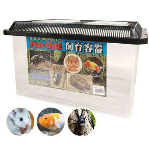 yZbg̔z e vP[X LL Xbgt^dؕt  (1×3Zbg) ~^j