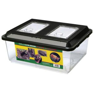 yZbg̔z e vP[X LL tbgXbgt^  (1×3Zbg) ~^j