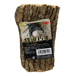 �y�Z�b�g�̔��z WILD ���I���� (×4�Z�b�g) �O�W����