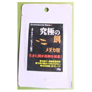 【セット販売】 究極シリーズ 究極の餌メダカ用10g (×12セット) B-blast