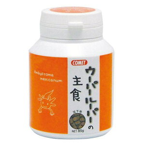 yZbg̔z Rbg E[p[[p[̎H 85g (×4Zbg) CgXC