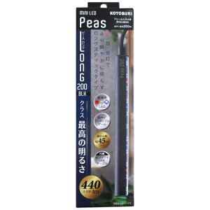 yZbg̔z RguL ~jLED s[XO200 ubN (×12Zbg) H|