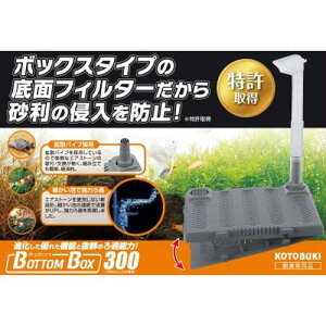 yZbg̔z RguL {g{bNX300 (×6Zbg) H|