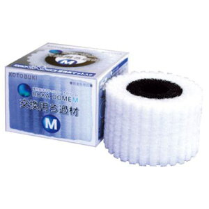 yZbg̔z RguL 납h[ M pߍ (×12Zbg) H|