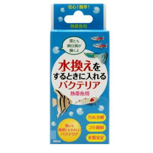 yZbg̔z hbOC[ poNeAMы (×6Zbg)