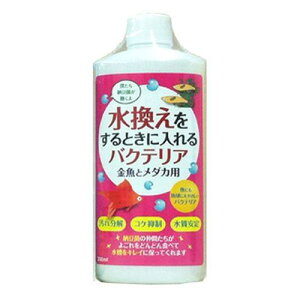 yZbg̔z hbOC[ oNeAƃ_J 300ml (×6Zbg)