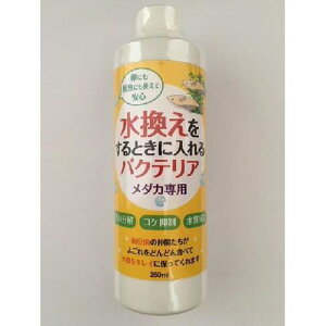 yZbg̔z hbOC[ oNeA_Jp 250ml (×6Zbg)