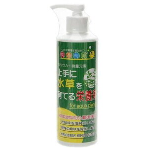 yZbg̔z KV[Y ɐĂh{ 250ml (×6Zbg) \lP~t@