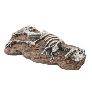 yZbg̔z aquaneru I[ig eBmTEX (×6Zbg) ybgCu[