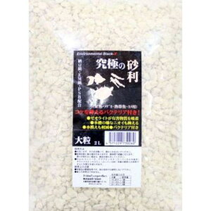 yZbg̔z ɃV[Y ɂ̍嗱2L (×4Zbg) B-blast