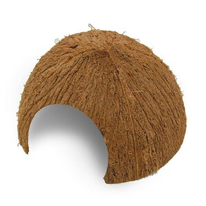 yZbg̔z }J YD]34 RRibcnEX (×8Zbg) }J