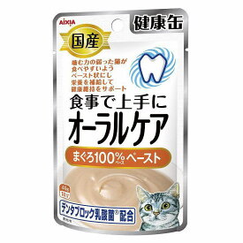 【セット販売】 アイシア 国産 健康缶パウチ オーラル 猫 ウェット 全ステージ 40g (×12セット)