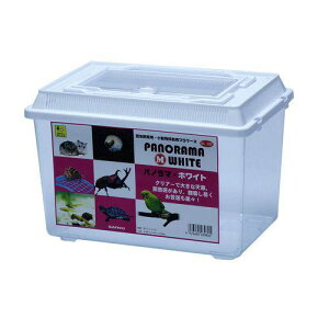 �y�P�[�X�̔��z WILD 398 �p�m���} M �z���C�g (×6�Z�b�g) �O�W����