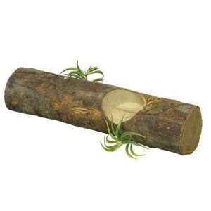 yP[X̔z tWR WOEbh (×20Zbg) tWR