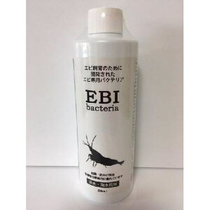 yP[X̔z hbOC[ GrpoNeA (1{250ml ×30{Zbg)