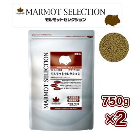 【即納在庫品】 【セット販売】イースター モルモットセレクション 750g(250g×3袋) ×2セット