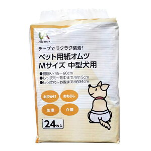 yZbg̔z ybgCu[  qpi ybgpIcM 24 (×2Zbg)