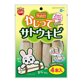 【セット販売】 マルカン MR-807かじってサトウキビ 小動物 小動物フードのおやつ (×3セット)