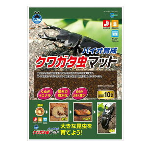 yZbg̔z }J oCI琬NK^}bg 10L (×2Zbg)