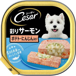 【ケース販売】 マースジャパン シーザー サーモン風味 ポテトとにんじん入り (1個100g入 ×96個セット)
