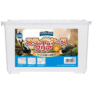 yP[X̔z }J SAMURAILIFESTYLE XChP[XNA (×12Zbg)