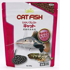 yP[X̔z L[ ЂNXgLbg 1295g (×30܃Zbg)