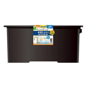 【ケース販売】 スペクトラム ジョウロテメダカ鉢40黒 観賞魚 観賞魚用水槽 6個セット