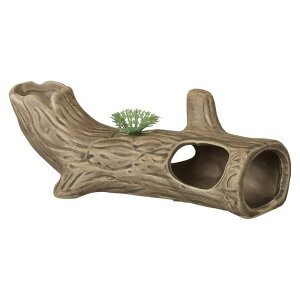 yZbg̔z Vǂ  (×12Zbg) D-3 Xh[