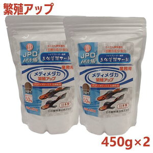 y[݌ɕiz yZbg̔z {i j`hE ߂V Ɩp fB_J ɐBAbv 450g ×2Zbg V