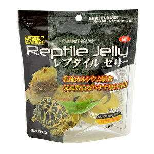 【セット販売】 三晃商会 サンコー レプタイルゼリー 160g(16g×10ヶ) ×6セット