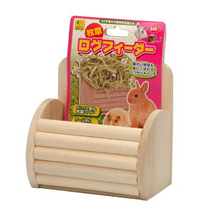 yZbg̔z OW TR[ qOtB[_[ ×4Zbg