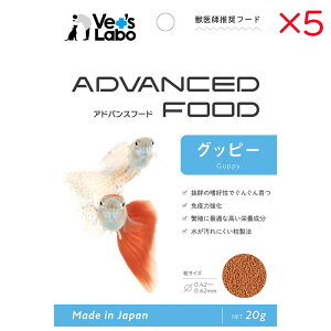 _Ԍ艿iI2025.11.28܂Ł^yZbg̔z Wpybg AhoXt[h Obs[ 20g×5Zbg