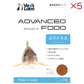 【セット販売】 ジャパンペット アドバンスフード コリドラス 20g入×5セット