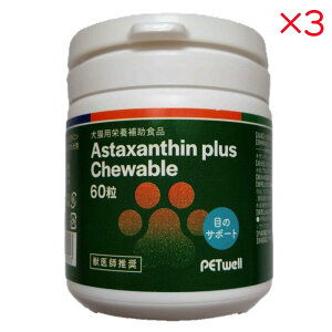 yZbg̔z g[G[g[fBO AX^LT`vX`Au 60×3Zbg