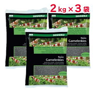 【セット販売】 ジャパンペット DENNERLE ナノグラベル スラウェシブラック 1袋2kg×3袋セット