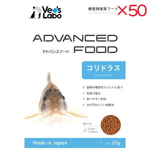 _Ԍ艿iI2025.10.31܂Ł^yP[X̔z Wpybg AhoXt[h RhX 20g×50Zbg