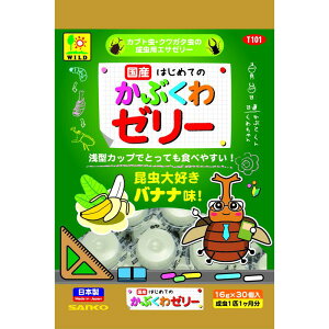 yP[X̔z OW TR[ Y Ԃ[[ 480g(16g×30) ×20Zbg