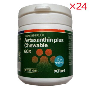 yP[X̔z g[G[g[fBO AX^LT`vX`Au 60×24Zbg