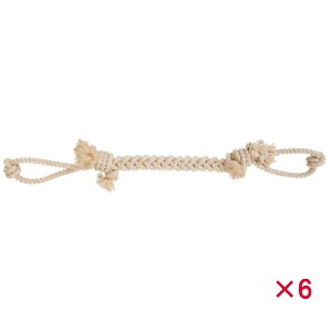 yP[X̔z yeBI i`Rbg[v S (×6Zbg)