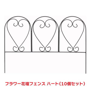 ^JV[ w10Zbgix SFE-03 t[ԒdtFX n[g eBX tFX